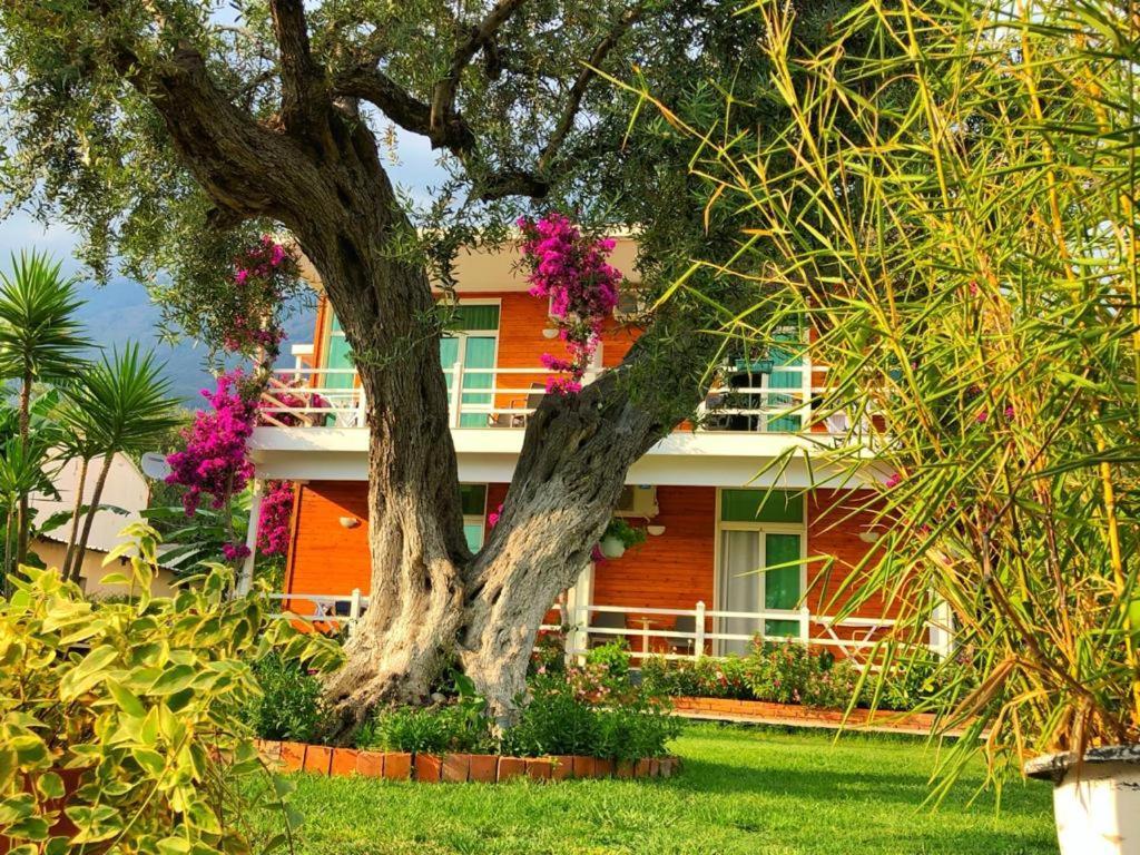 דרמי Hotel Jon מראה חיצוני תמונה
